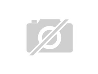 Suche Apfelschnecken